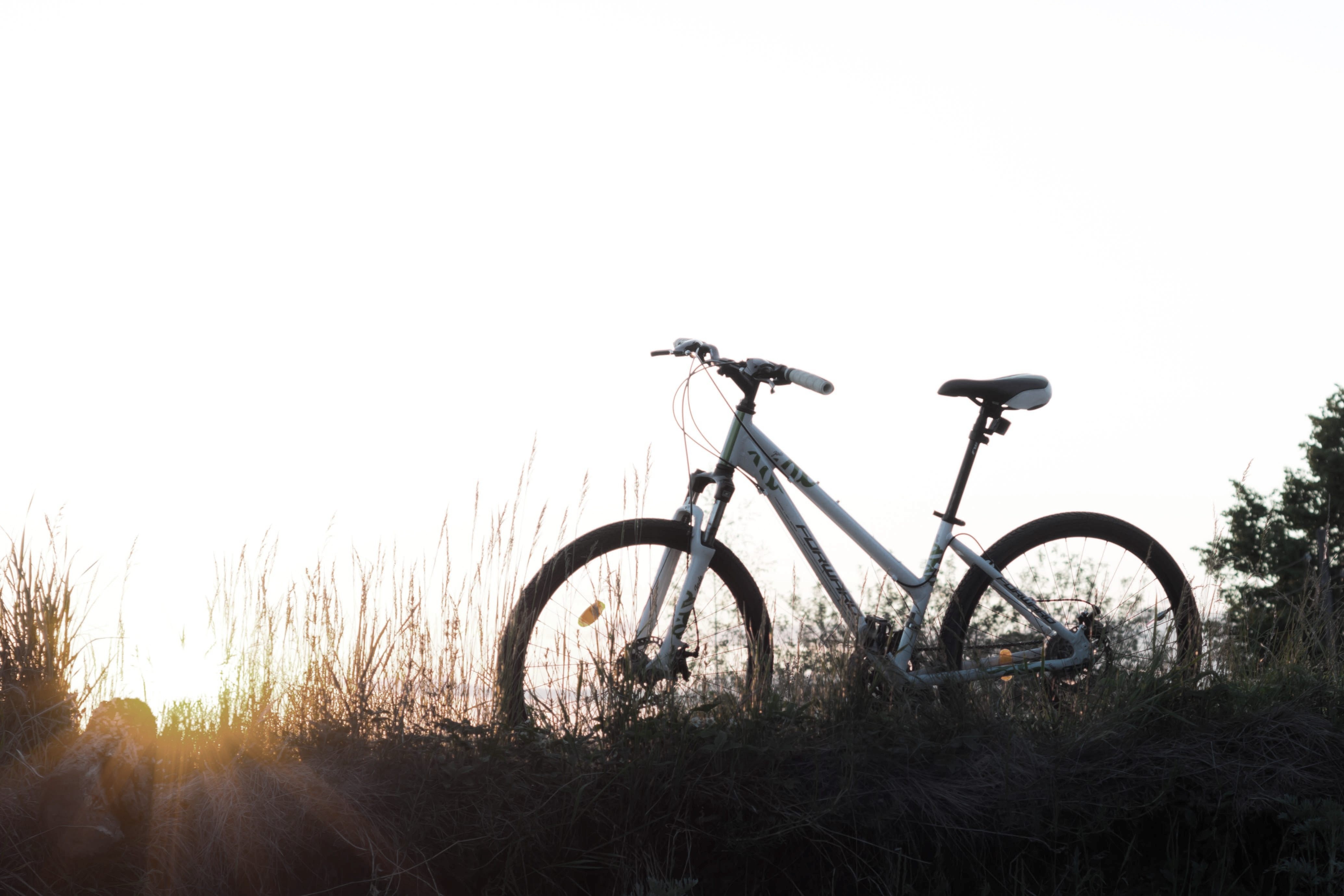 NMMC to build 370 metre fenced cycle track in newly developed garden in Airoli