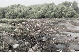 Uran’s Panje wetlands once again under debris