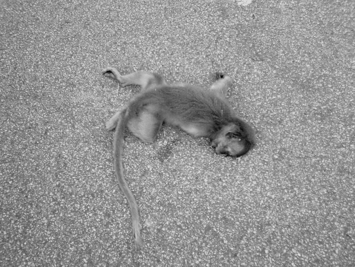 State forest department to finally file chargesheet against HOCL chemical plant in Panvel