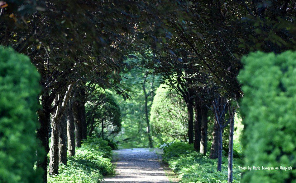 SOPs for reopening of gardens: No sitting on benches, chatting or exercising in groups