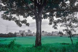 Kharghar turns green, waterfalls & ponds overflow, but visitors stay away