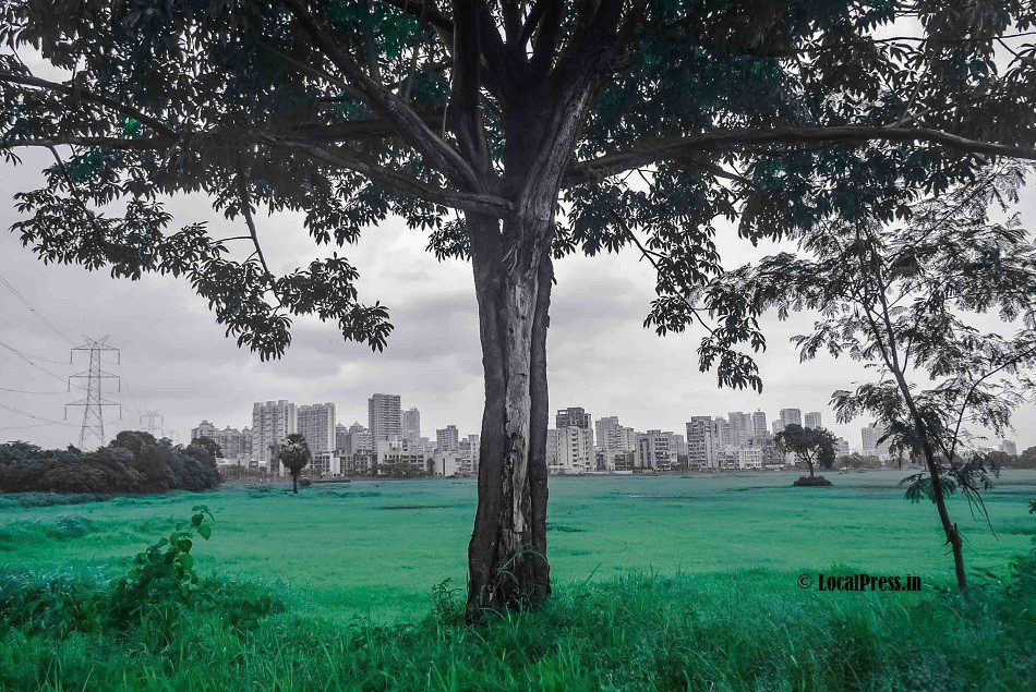 Kharghar turns green, waterfalls & ponds overflow, but visitors stay away