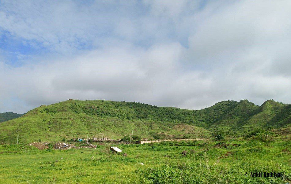 Kharghar turns green, waterfalls & ponds overflow, but visitors stay away