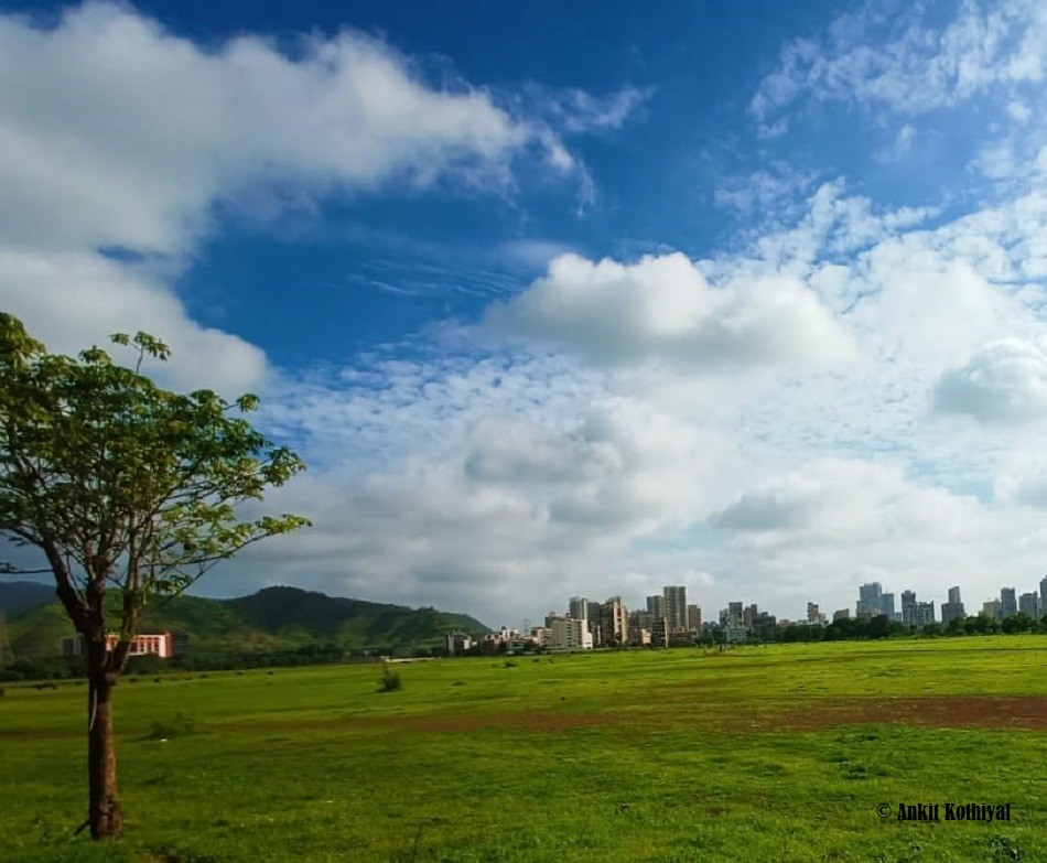Kharghar turns green, waterfalls & ponds overflow, but visitors stay away