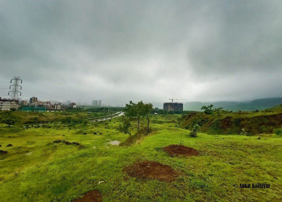 Kharghar turns green, waterfalls & ponds overflow, but visitors stay away