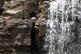 Kharghar waterfalls, streams and ponds in good flow
