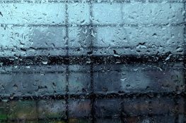 Heavy rains lash Navi Mumbai causing tree falls, water logging and power outages