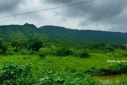 Navi Mumbai Rains: Monsoons come in full flow in the city