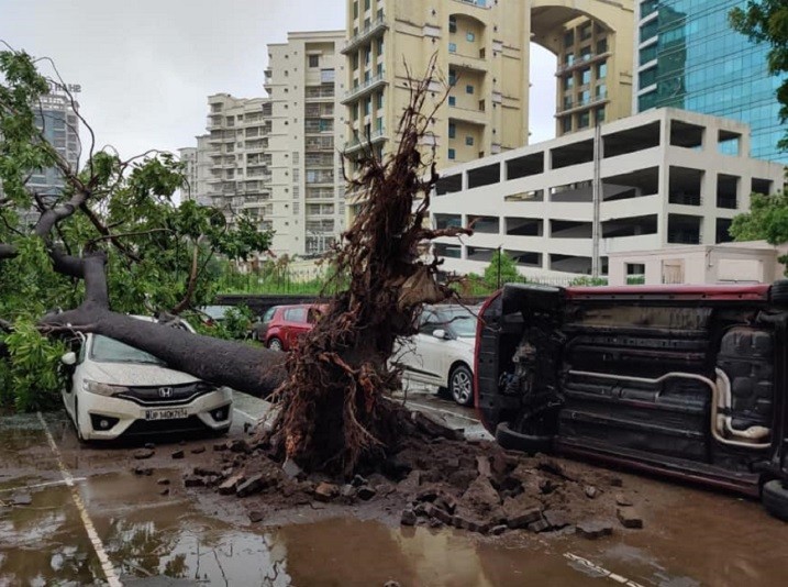 Heavy rains lash Navi Mumbai causing tree falls, water logging and power outages