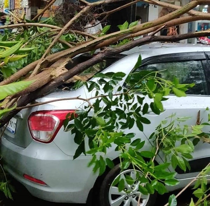 Heavy rains lash Navi Mumbai causing tree falls, water logging and power outages