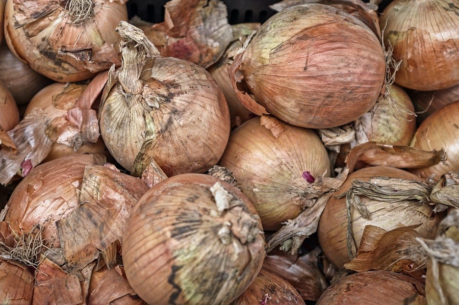 Onion and vegetable prices skyrocket in Navi Mumbai as supplies dip at APMC