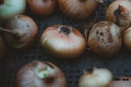Onions retailing between Rs. 70-90 in Navi Mumbai, may see further increase
