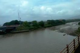 MSRDC to chop more than 600 trees for constructing a new Thane creek bridge