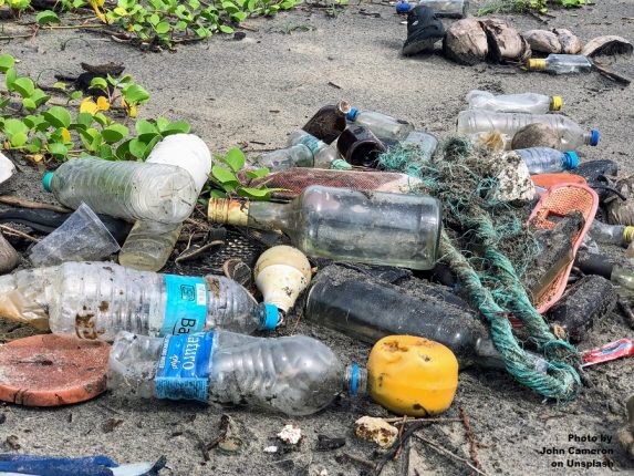 12 weeks, 5.5 tonnes of trash: Navi Mumbai eco-warriors successfully clean city mangroves