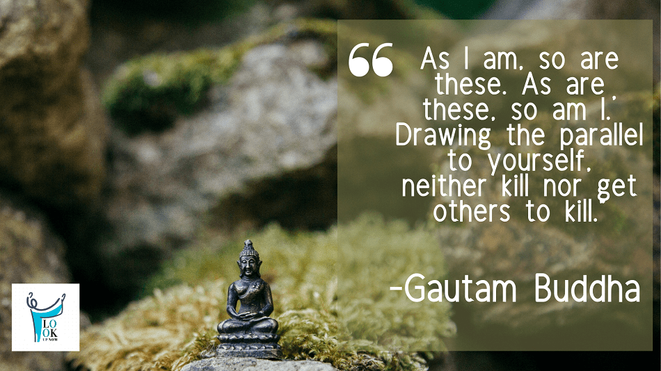 44 Real Lord Gautam Buddha Quotes & Sayings 9