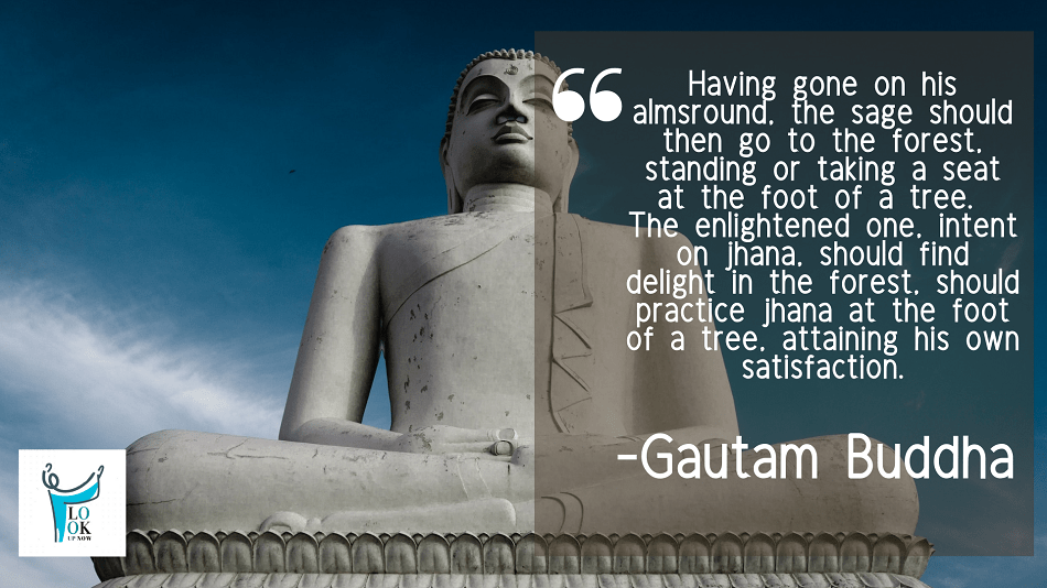 44 Real Lord Gautam Buddha Quotes & Sayings 39