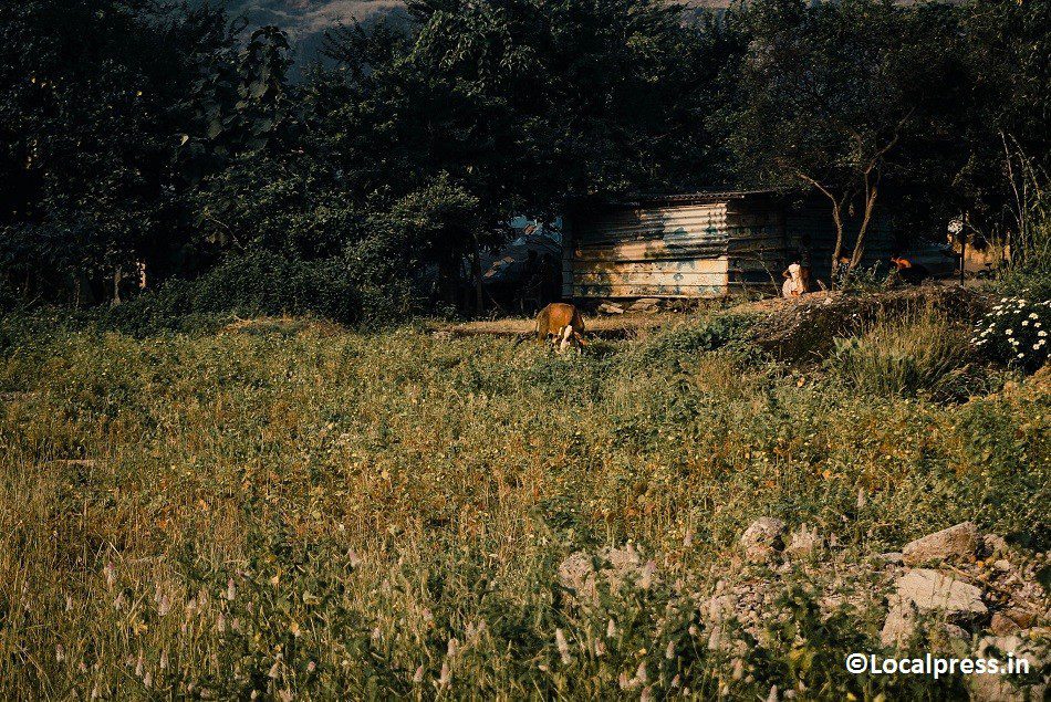 Owe Dam, Kharghar: A personal haven for nature lovers