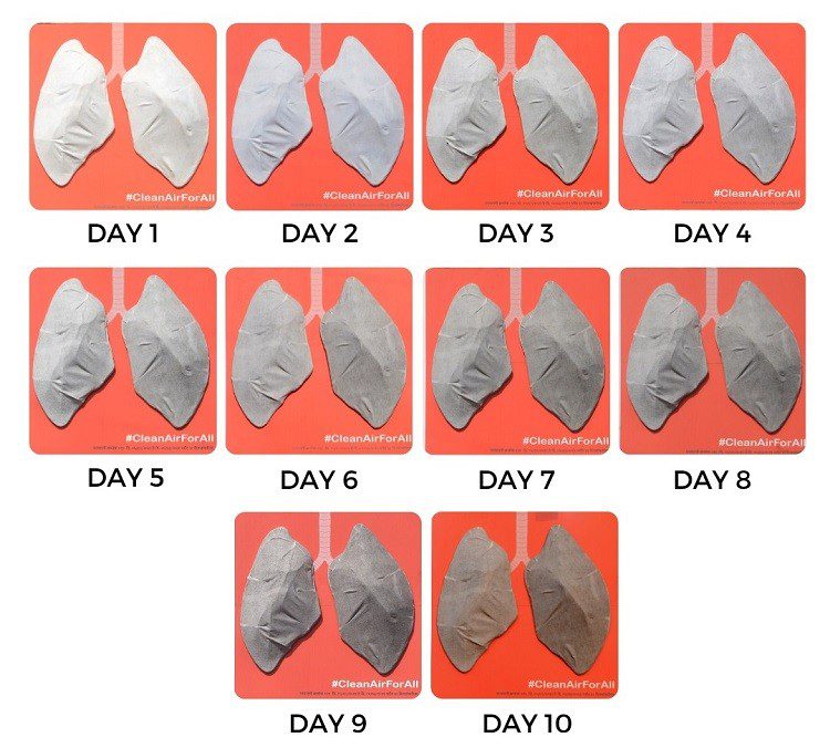 These are your lungs, just 10 days in Kharghar