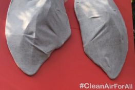 Kharghar's “Billboard That Breathes” turning grey and black, two weeks before expected