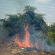 Dry grass set on fire in Kharghar sector 35