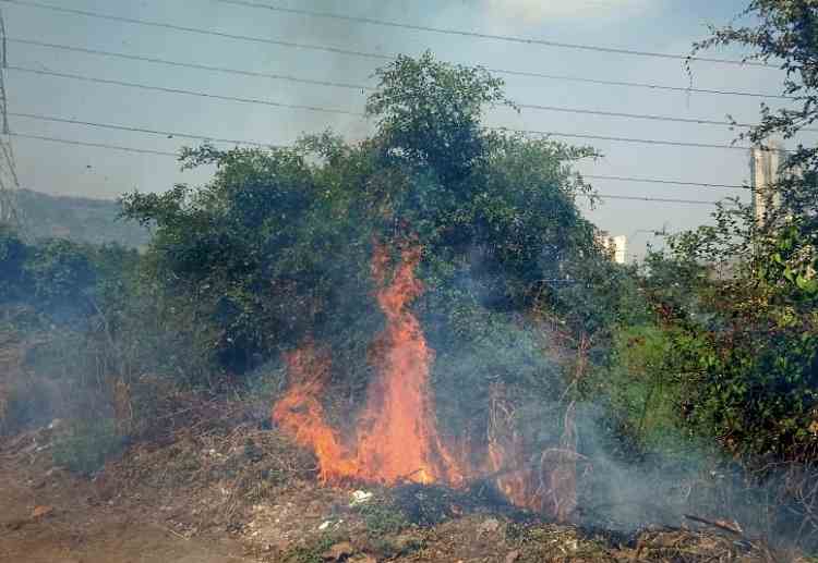 Dry grass set on fire in Kharghar sector 35